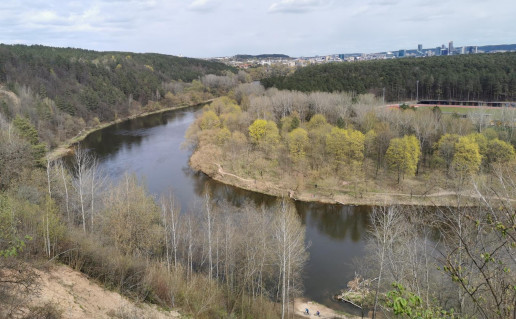 15_Plikakalnio atodanga (3).jpg